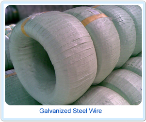 Galvanized Steel Wire