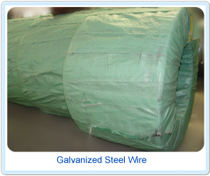 Galvanized Steel Wire