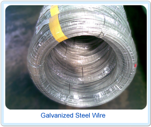 Galvanized Steel Wire