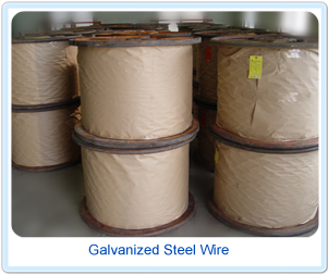 Galvanized Steel Wire